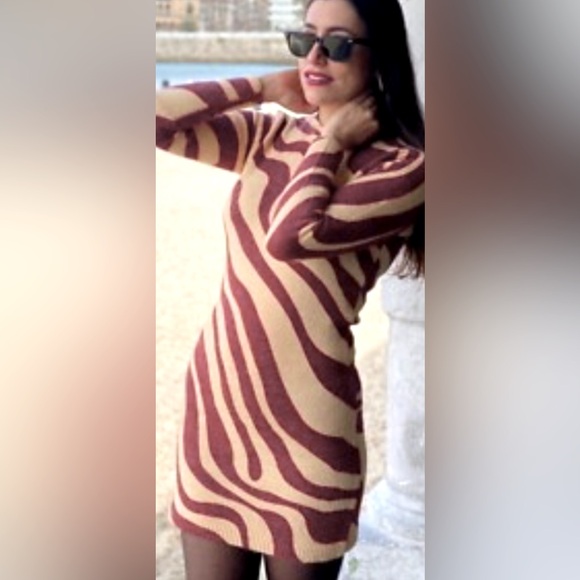 Zara Dresses & Skirts - Zara Zebra Jacquard Mini Dress Long Sleeves Knit Wool Blend Size Small